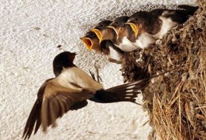 Μετά τον αγώνα της Σαρακοστής, ας μην χαλαρώσουμε